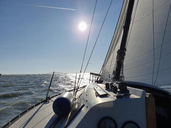 Ahoi-Neusiedl am See